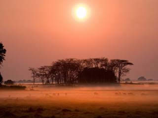 صور Kafue National Park متنزه وطني